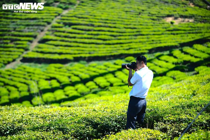 Bà Hồ Thị Bích Vân, Phó Chủ tịch UBND xã Xuân Trường - Đà Lạt cho biết, "Đồi chè Cầu Đất - một trong những vùng cảnh quan đặc sắc của phường Xuân Trường – Đà Lạt, không chỉ là vùng sản xuất nông nghiệp truyền thống mà còn là không gian hội tụ đầy đủ các yếu tố để phát triển du lịch chất lượng cao".