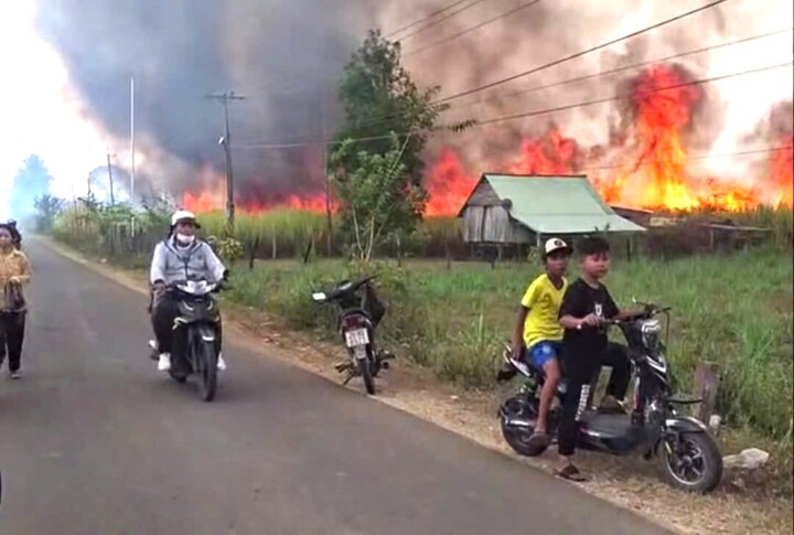 Chỉ trong 1 tuần, xã Sơn Hòa ghi nhận 310 ha mía bị cháy.