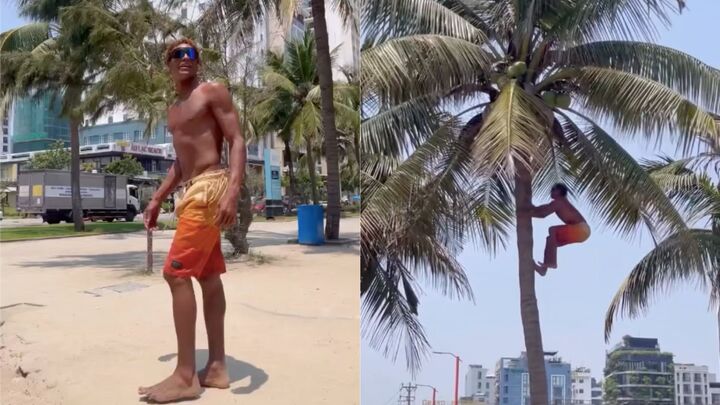 Dân mạng không khỏi bất ngờ bởi kỹ năng hái dừa vô cùng thượng thừa. (Ảnh chụp màn hình)