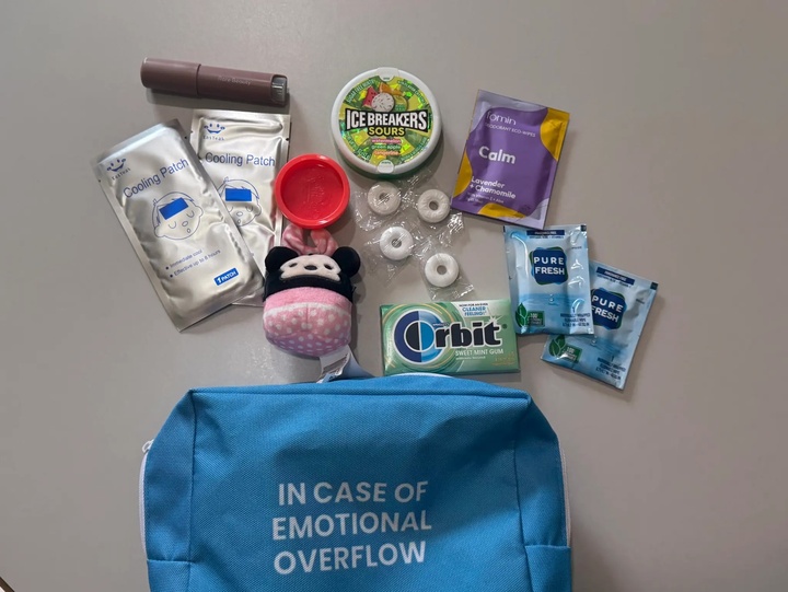 Túi chống lo âu là những bộ dụng cụ được tuyển chọn kỹ lưỡng, dễ mang theo, chứa các vật dụng được thiết kế để giúp mọi người đối phó với các cơn hoảng loạn hoặc lo lắng hàng ngày khi đang di chuyển.