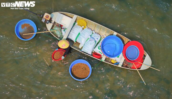 "Bàn tay nhăn nheo, trắng bệch, nứt nẻ vì ngâm nước 10 tiếng mỗi ngày, đôi bàn chân thường xuyên bị vỏ ốc, mảnh sành hay đá sắc nhọn đâm phải. Đau thì có đau, nhưng nghỉ một ngày khi thời điểm ốc xếp vào mùa là không có tiền, con nước còn lên xuống thì mình còn phải theo", chị Hòa chia sẻ.