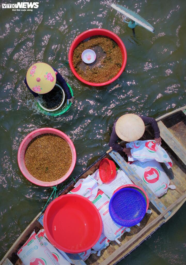 Công việc cào ốc xếp tại vùng bãi bồi hạ nguồn sông Lại Giang vất vả, cực nhọc không chỉ có đàn ông mà còn có cả những người phụ nữ trong gia đình. Công việc chính của họ là đãi ốc sạch cát, sau đó đóng thành bao.