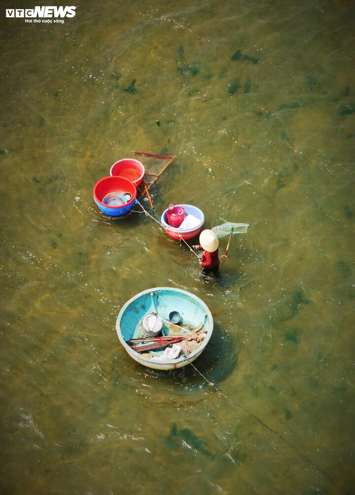 Chị Nguyễn Thị Hòa (38 tuổi) chia sẻ, nghề cào ốc xếp ở khu vực cửa biển An Dũ có từ lâu đời. công việc vất vả này là nguồn mưu sinh, thậm chí là nguồn thu nhập chính của hàng trăm hộ dân nghèo sống ven sông Lại Giang.