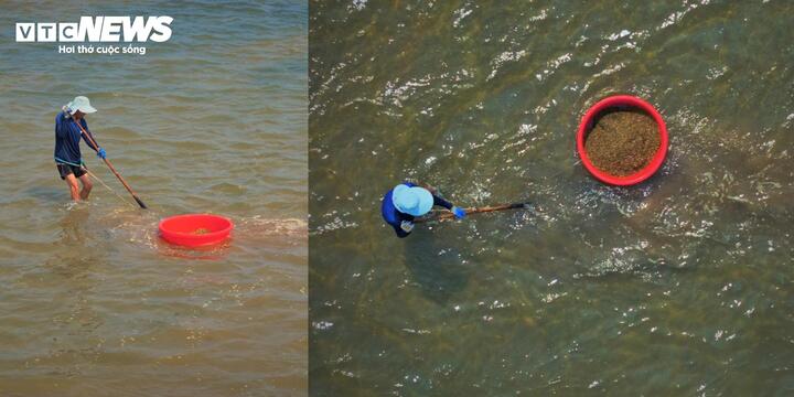 Những người làm nghề cào ốc xếp thường đi giật lùi hoặc cúi gập người, đôi tay liên tục đưa chiếc cào sục sâu xuống lớp cát. Cứ thế từ lúc khi thủy triều rút đến khi thủy triều lên ròng rã hơn 10 giờ đồng hồ, họ ngâm mình trong nước và phơi nắng để mưu sinh.