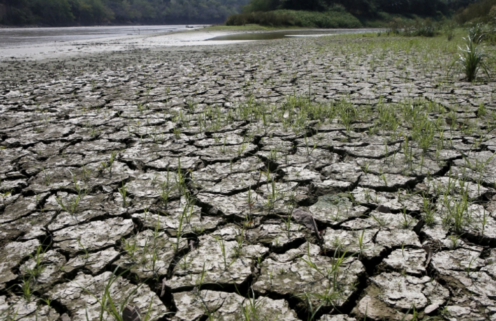 Khu vực Đông Nam Á (bao gồm Việt Nam), Australia và Amazon sẽ đối mặt với tình trạng khô hạn cực đoan, đe dọa nghiêm trọng đến an ninh lương thực và nguồn nước. (Ảnh: Reuters)
