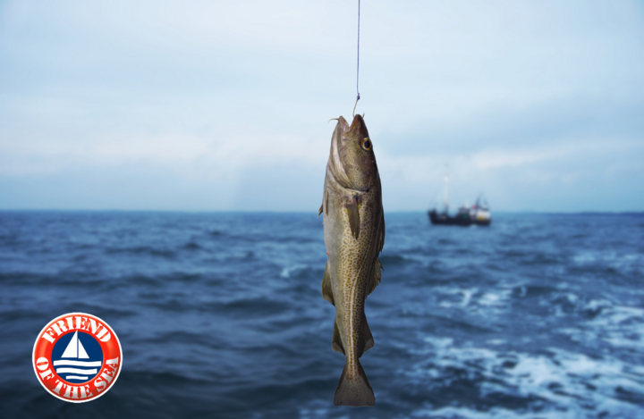 Bí quyết bổ sung Omega-3 đúng để tăng cường sức khoẻ - 1