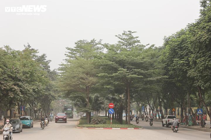 Theo ghi nhận của PV Báo Điện tử VTC News, phố Tân Mỹ và Đỗ Xuân Hợp (phường Từ Liêm) thường xuyên bị bao phủ bởi lớp bụi mù do xe tải, xe quá tải hoạt động liên tục.