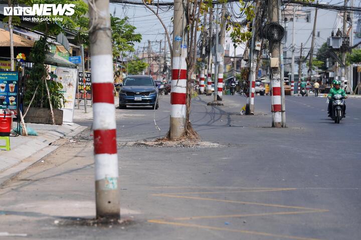 Hàng trăm cột điện chưa di dời vẫn nằm giữa lòng đường Nguyễn Thị Định (phường Cát Lái, TP.HCM).