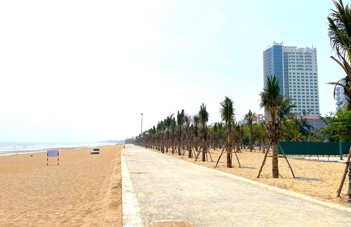 Hơn 2.000 cây dừa mới được trồng dọc bãi biển Cửa Lò tạo không gian xanh