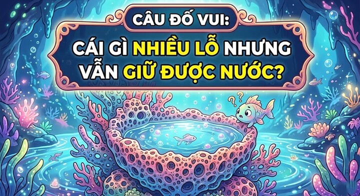 Cái gì nhiều lỗ nhưng vẫn giữ được nước?(Ảnh minh họa)