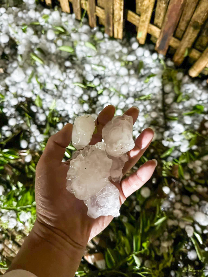 Những viên đá có kích thước đến 5-7cm tại khu vực tỉnh Lào Cai. (Ảnh: H.N.)