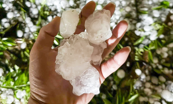 Mưa đá to như quả trứng gà xuất hiện tại xã Bắc Hà, Lào Cai vào rạng sáng 16/4. (Ảnh: N.N.)