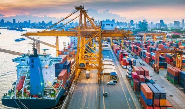 Hải quan sẽ có 2 đợt bảo trì hệ thống trong tháng 4. (Ảnh: Báo Chính phủ)