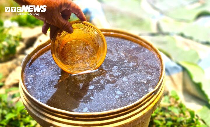 Do nước nhiễm phèn nghiêm trọng, người dân ở đây phải đi mua nước bình để nấu ăn và uống.