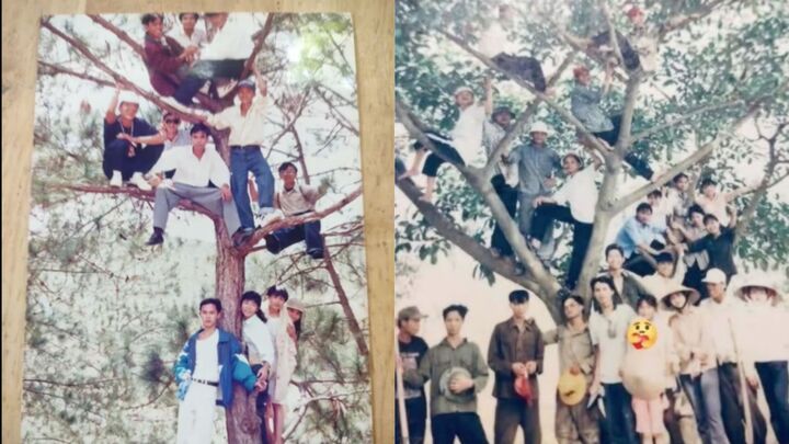 Theo năm tháng, phong cách chụp ảnh với cây không còn nữa.