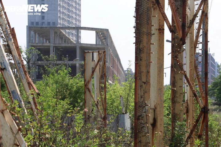 Bên trong khu đất "mọc" lên dự án, cỏ dại mọc um tùm, nhiều khối sắt bộc lộ hoen gỉ sau thời gian dài dầm mưa dãi nắng.