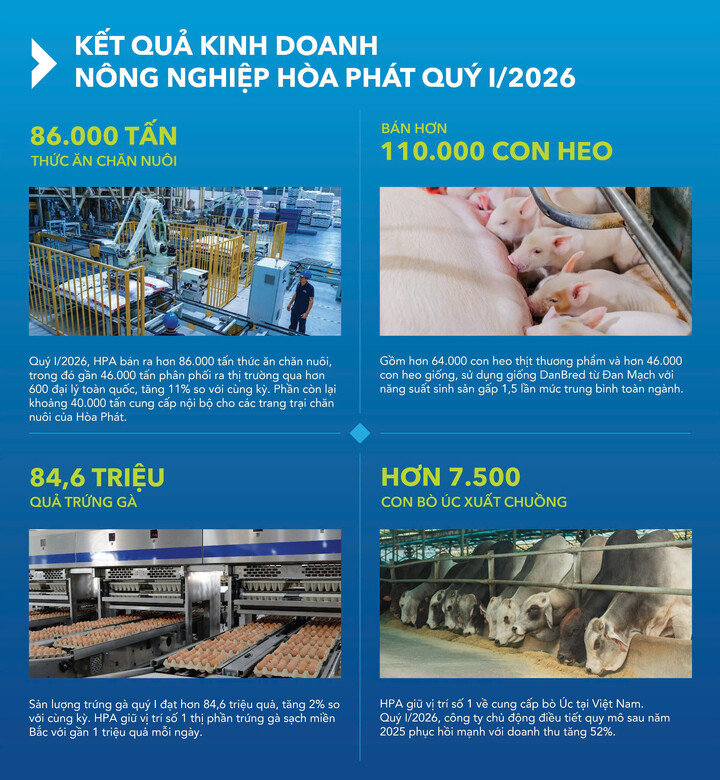 Hòa Phát xuất bán hơn 110.000 con heo và 86.000 tấn thức ăn chăn nuôi quý I/2026 - 1