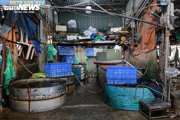 Nhiều ki ốt được dựng bằng khung thép, mái che xuống cấp sau thời gian dài sử dụng.