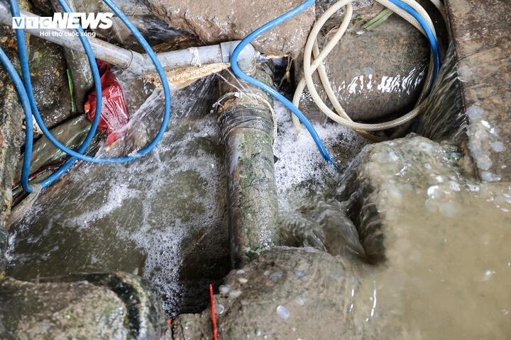 Cảnh ô nhiễm kéo dài tại chợ cá lớn nhất Hà Nội trước ngày bị giải tỏa - 11