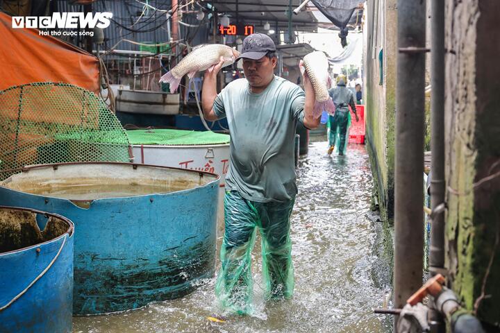 Đặc biệt, tình trạng ô nhiễm nghiêm trọng, lan sang các khu vực xung quanh và kéo dài suốt nhiều năm. Nền chợ luôn ướt sũng, bùn đất và nước thải đọng thành từng vũng lớn do hệ thống thoát nước chưa được đầu tư bài bản.