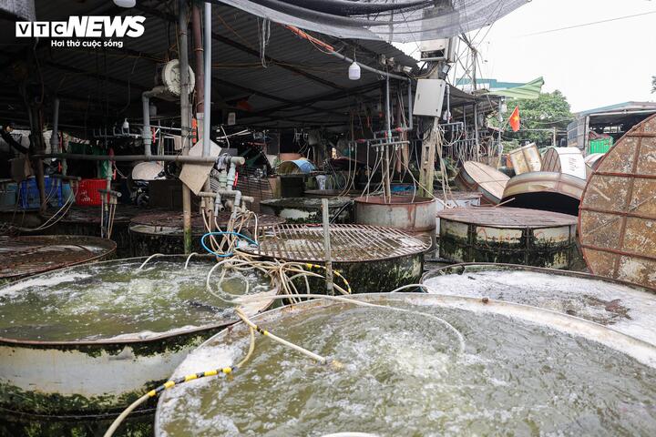 Hàng trăm thùng đựng cá, cùng hệ thống dây dợ lằng nhằng gây nguy hiểm.