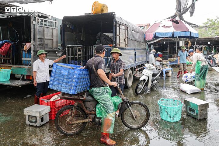 Chợ cá Yên Sở chỉ là một trong nhiều điểm kinh doanh tự phát tồn tại trên địa bàn Hà Nội. Theo thống kê, toàn thành phố hiện còn 231 chợ cóc, điểm kinh doanh tự phát. Thành phố đặt mục tiêu trong năm 2026 và nửa đầu năm 2027 sẽ giải tỏa toàn bộ các điểm này. Tính đến giữa tháng 4/2026, các địa phương đã xử lý được 173 điểm lấn chiếm vỉa hè, đạt khoảng 75% kế hoạch. Song song với việc giải tỏa, từ nay đến hết năm 2030, Hà Nội dự kiến xây mới, xây lại 108 chợ, đồng thời cải tạo, nâng cấp 118 chợ hiện có nhằm đáp ứng nhu cầu kinh doanh và sinh hoạt của người dân.