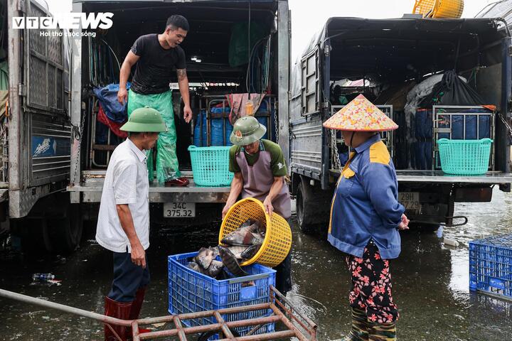 Bà H., người kinh doanh tại chợ gần 20 năm, cho biết gia đình bà sống chủ yếu nhờ buôn bán cá tại đây. Theo bà, việc di dời là chủ trương chung nên các hộ đều chấp hành, nhưng điều khiến bà băn khoăn là địa điểm mới có đảm bảo điều kiện để duy trì nghề hay không. “Buôn cá cần nước sạch, điện ổn định, có chỗ sơ chế. Nếu chuyển đi mà hạ tầng chưa đáp ứng thì rất khó làm ăn lâu dài”, bà H. nói.