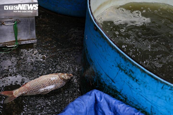 Chị Y., sinh sống tại ngõ 78 đường Đỗ Mười, cho biết vào những ngày thời tiết mát hoặc có mưa, mùi ô nhiễm phần nào dịu bớt. Tuy nhiên, khi trời nắng, mùi tanh từ cá và nước thải bốc lên rõ rệt. Theo chị, con mương gần chợ vốn đã ô nhiễm, nay chịu cảnh xả nước liên tục từ hoạt động buôn bán thủy sản, càng trở nên nghiêm trọng hơn.