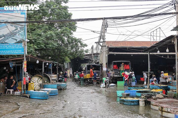 Ghi nhận của PV Báo Điện tử VTC News, khi chỉ còn hơn một tuần trước thời điểm giải tỏa, hoạt động buôn bán tại chợ vẫn diễn ra nhộn nhịp. Tuy nhiên, cơ sở vật chất chủ yếu còn tạm bợ.