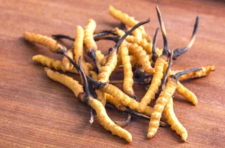 Sử dụng đông trùng cần tránh những sai lầm để có hiệu quả (Ảnh minh họa)