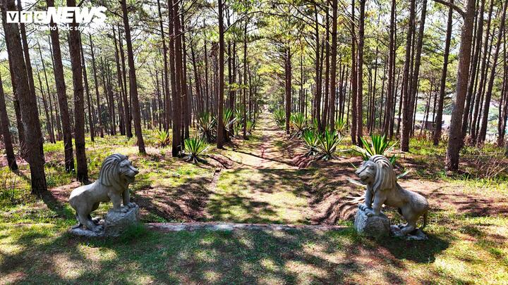 Hai con sư tử đá được đặt ở bậc cuối cùng trước khi tiến vào tham quan khu chính của quần thể lăng tẩm Quận công Nguyễn Hữu Hào và bà Nhị phu nhân Lê Thị Bình.