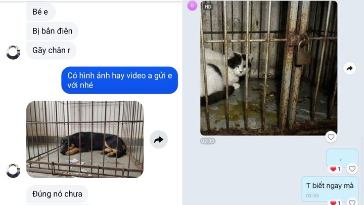 Nhiều người cũng trở thành nạn nhân của chiêu trò này khi nóng vội lo cho thú cưng. (Ảnh chụp màn hình)