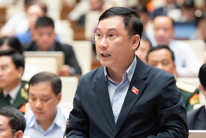 Đại biểu Lê Hoàng Anh phát biểu thảo luận sáng 21/4. (Ảnh: Phạm Thắng)