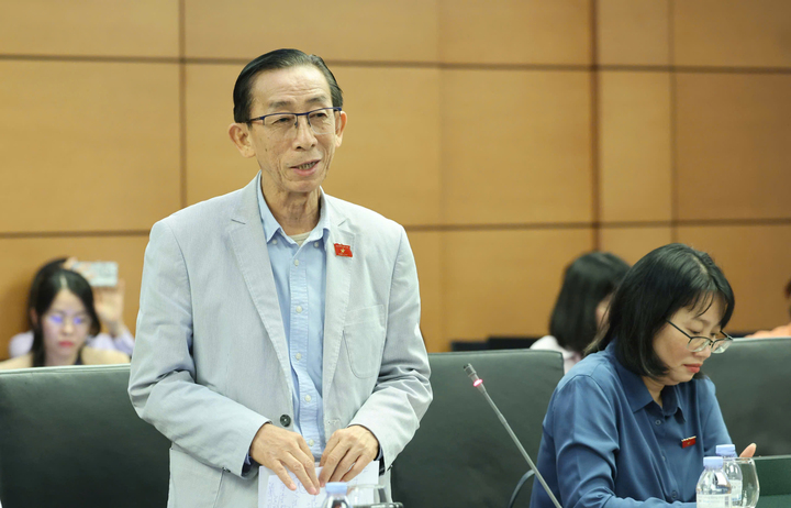 Đại biểu Trần Hoàng Ngân, Đoàn ĐBQH TP.HCM. (Ảnh Nguyễn Phúc)