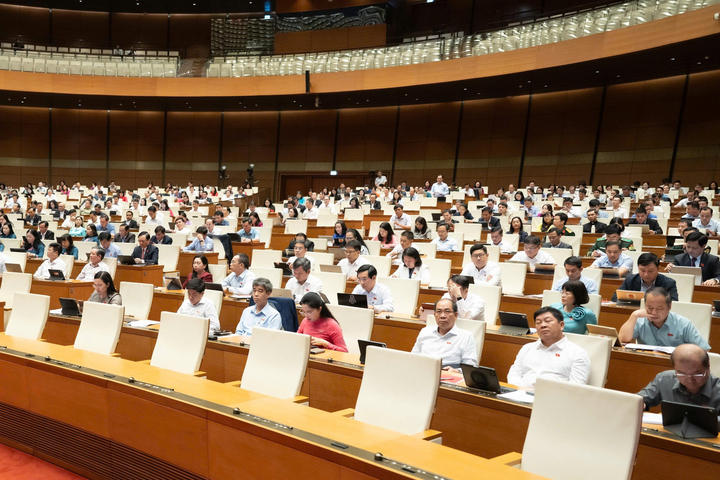 Đại biểu tham dự phiên họp. (Ảnh: Media Quốc hội)