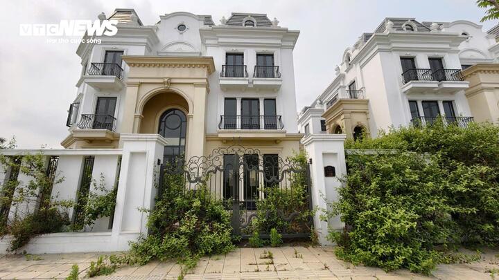 Cỏ dại mọc kín nhiều biệt thự trong dãy phố nghìn tỷ.