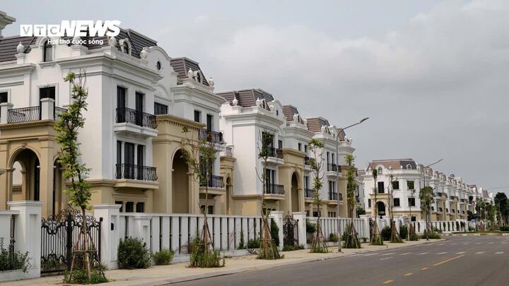 Dãy biệt thự sang trọng, nhưng hiện đang lâm cảnh "vườn không nhà trống", cỏ dại mọc um tùm tại khu đô thị nghìn tỷ ở phường Bắc Giang.