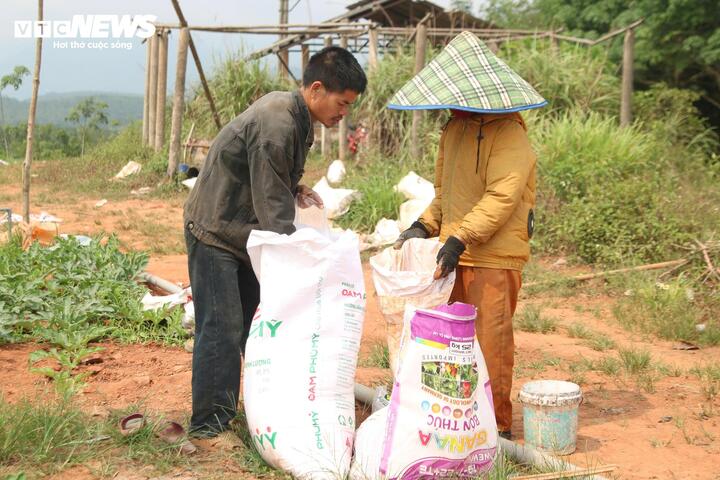 Sau khi trừ các chi phí, gia đình Hoàng Ngọc Thân có nguy cơ lỗ hàng chục triệu đồng.