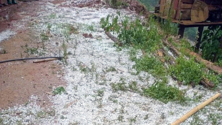 Mưa đá dày đặc trút xuống xã Phiêng Cằm, tỉnh Sơn La trong ngày 18/4. (Ảnh: Cổng thông tin điện tử tỉnh Sơn La)