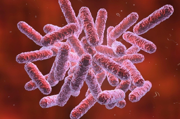 Bệnh Whitmore gây ra bởi vi khuẩn Burkholderia pseudomallei. (Ảnh minh họa)