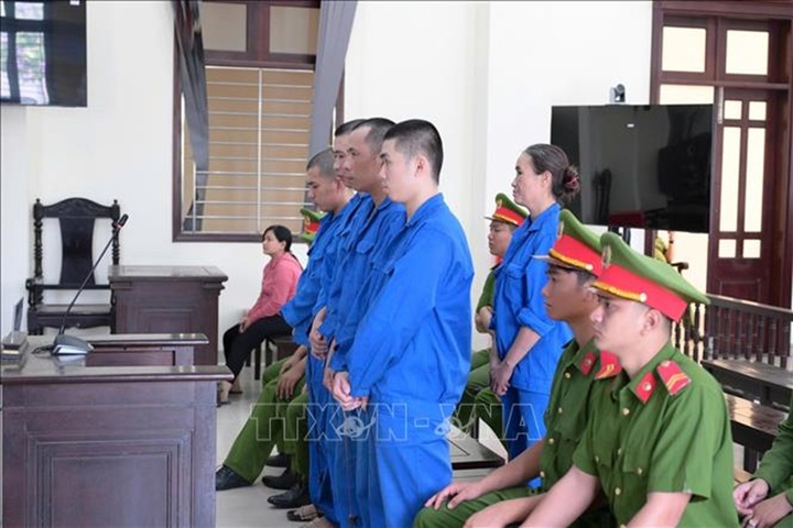 Chú thích ảnhCác bị cáo Mai Văn Hậu, Mai Thị Lành, Mai Trọng Hiếu, Mai Văn Thảo, Nguyễn Minh Trí tại phiên tòa. Ảnh: TTXVN phát