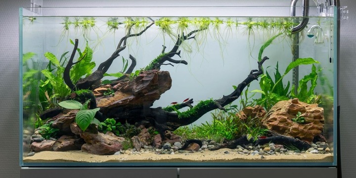 Những vật dụng trong nhà có thể gây nhiễu sóng Wi-Fi - 8