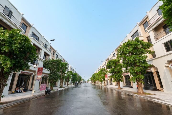 Môi trường sống xanh trở thành lựa chọn ưu tiên của tầng lớp dẫn dắt khi tìm kiếm chốn an cư.