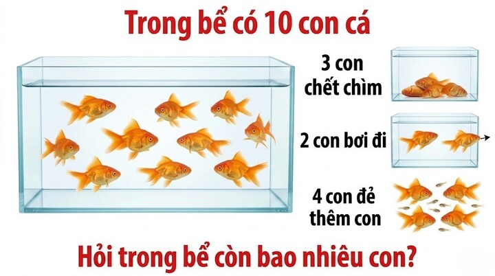 Câu đố con cá gây lú: Bạn có giải đúng ngay lần đầu? (Ảnh minh họa)