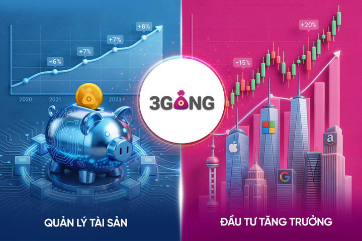3Gang cho phép phân bổ dòng vốn linh hoạt vào các lớp quản lý tài sản an toàn và đầu tư tăng trưởng.