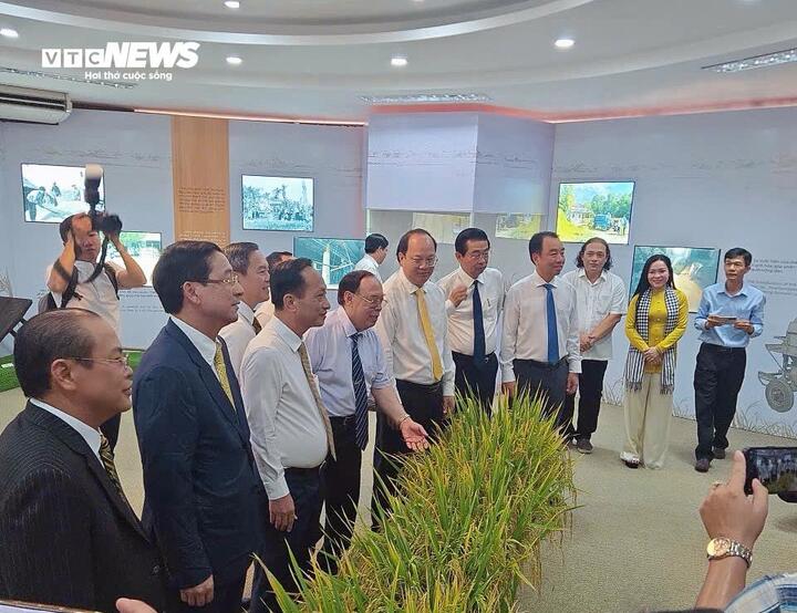 Khu trưng bày tái hiện vòng đời cây lúa, từ gieo sạ đến thu hoạch, giúp người xem hình dung rõ quá trình sản xuất nông nghiệp.