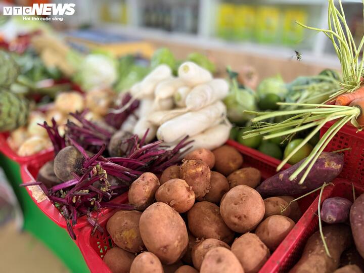 Nghỉ lễ, người dân TP.HCM đổ về Phiên chợ Xanh - Tử tế, săn nông sản sạch - 16