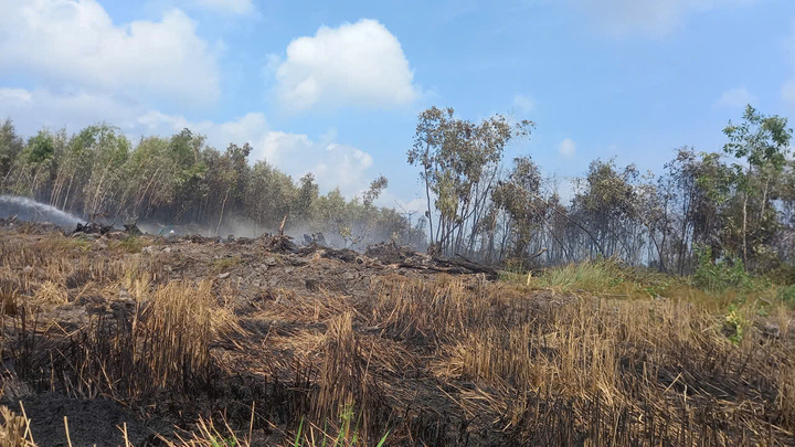 Đến khoảng 22h30 cùng ngày, đám cháy cơ bản được khống chế.