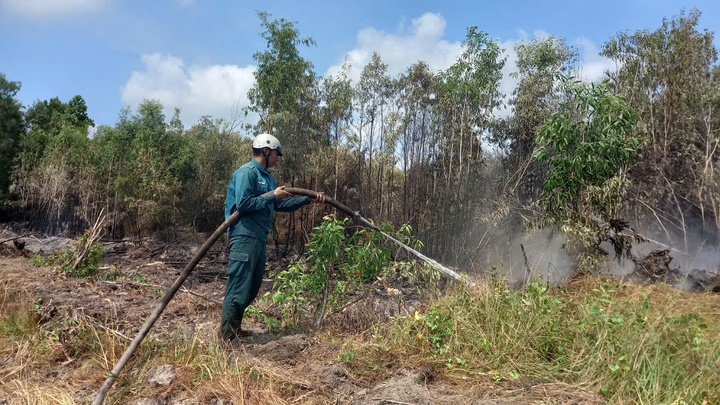 Sau đó, lực lượng quân sự tiếp tục tham mưu chính quyền địa phương bơm nước vào hệ thống kênh nội đồng, đồng thời duy trì trực gác, xử lý các điểm cháy âm ỉ. Đến sáng 25/4, đám cháy được dập tắt hoàn toàn.