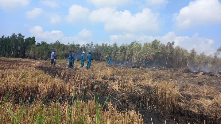 Vụ cháy ước thiệt hại khoảng 4-5ha rừng tràm và thực bì, may mắn không gây thiệt hại về người. Theo Ban CHQS xã Cô Tô, việc kịp thời huy động lực lượng, chủ động xử lý tình huống đã góp phần bảo vệ tài nguyên rừng, giữ vững an ninh, an toàn địa bàn.